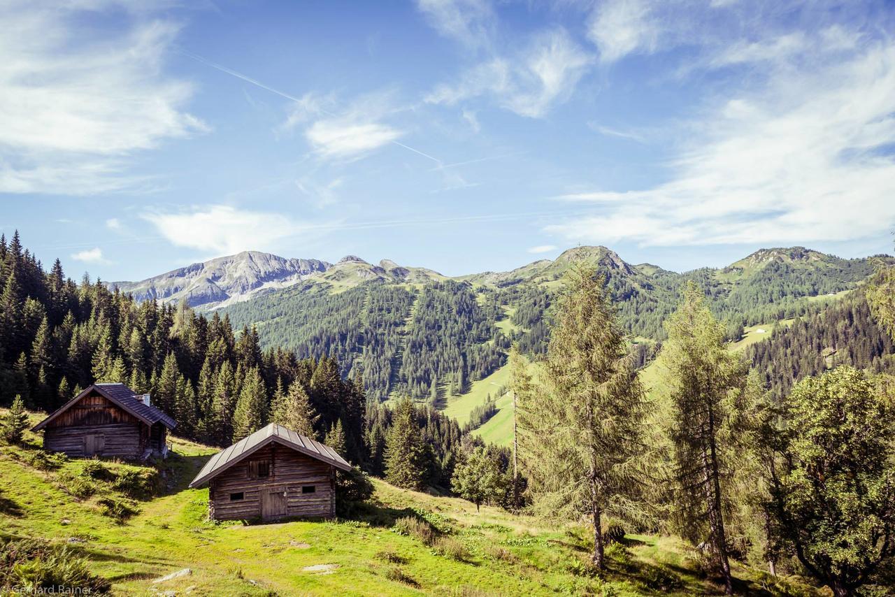 Hotel Alpenrose Цаухензее Экстерьер фото